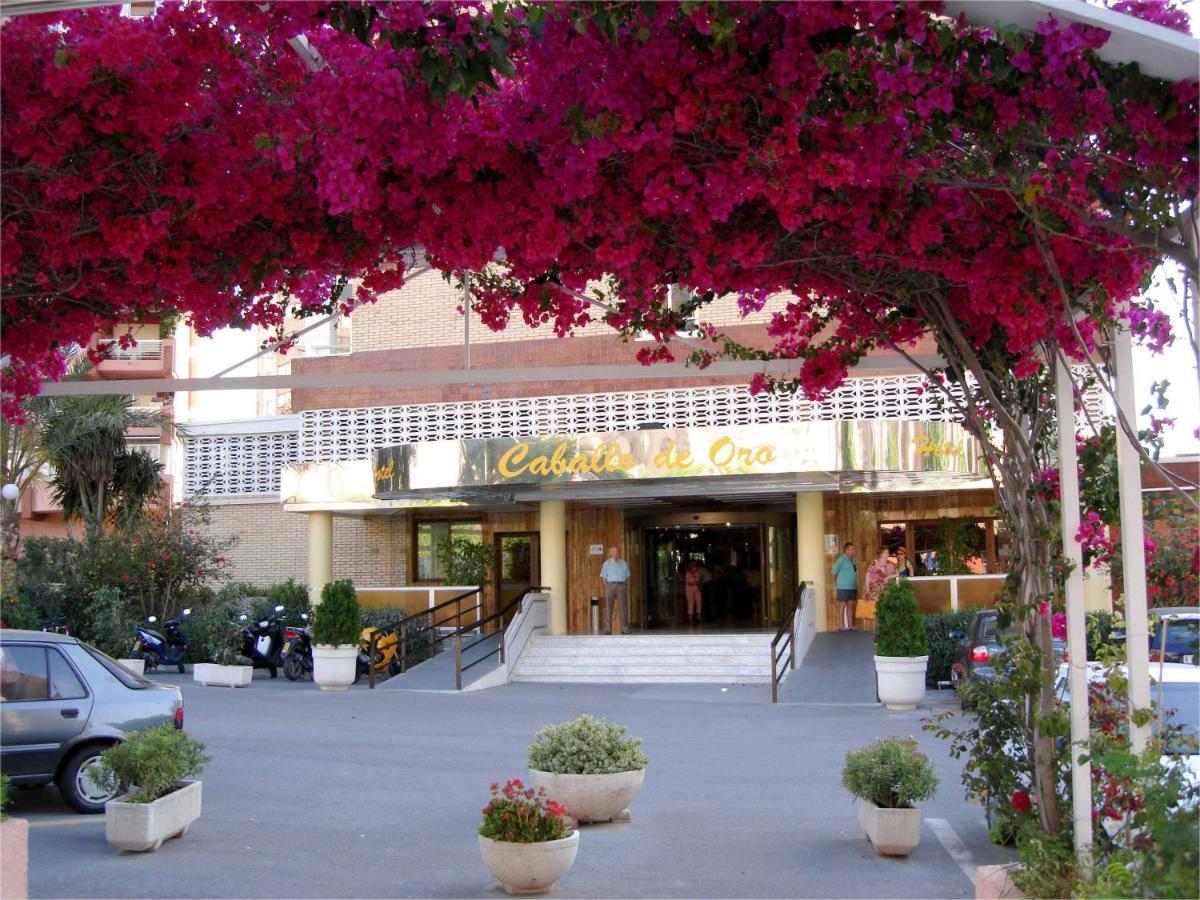 Hotel Caballo De Oro Benidorm Exterior foto